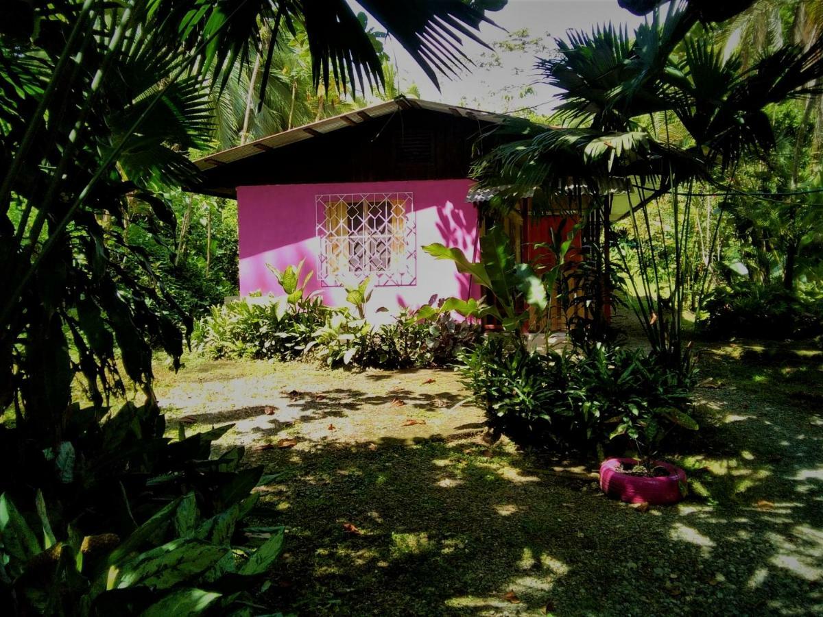 Cabinas Algebra Cahuita Extérieur photo