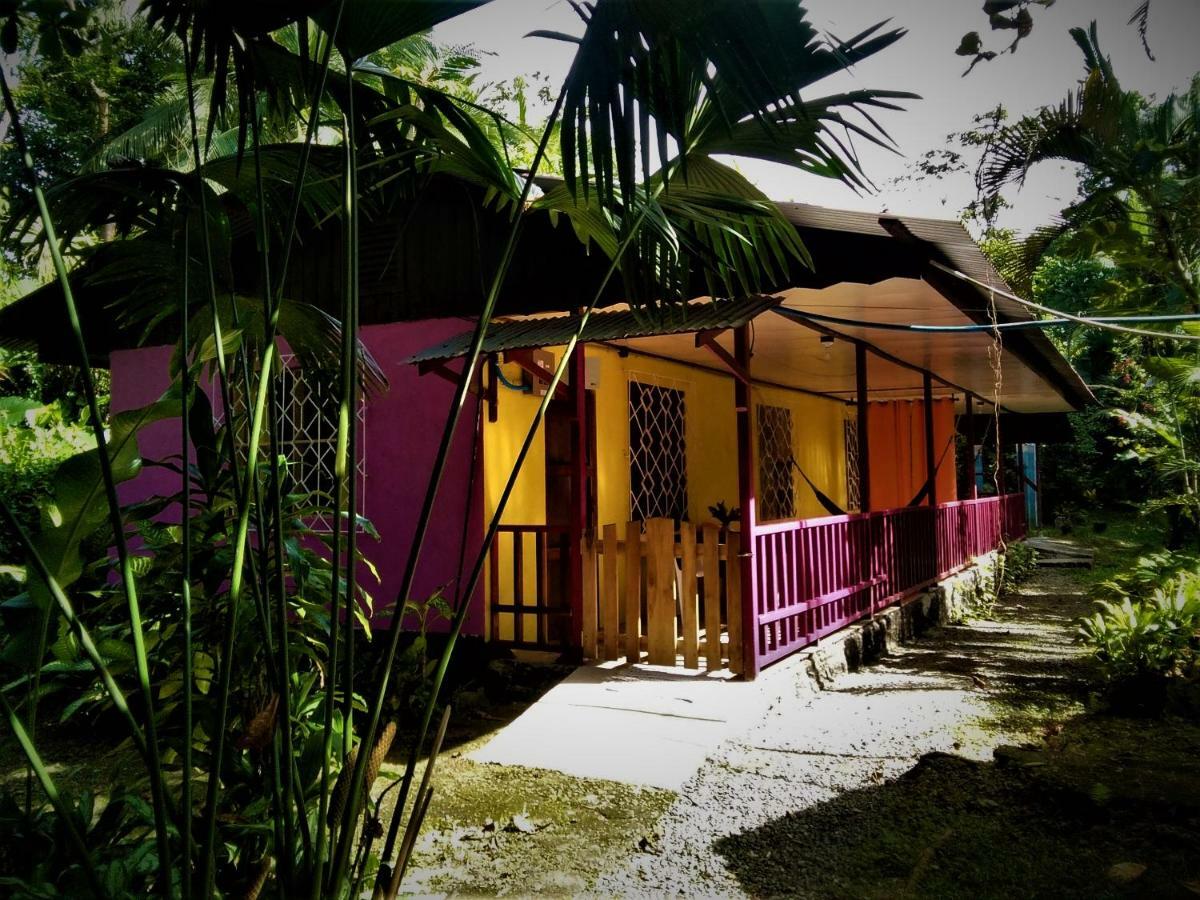 Cabinas Algebra Cahuita Extérieur photo
