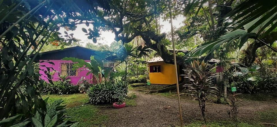 Cabinas Algebra Cahuita Extérieur photo